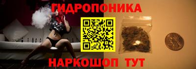 СК Краснознаменск