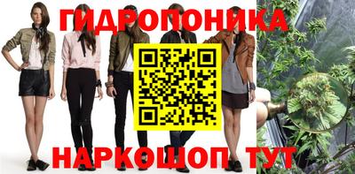 мдпв Краснодар